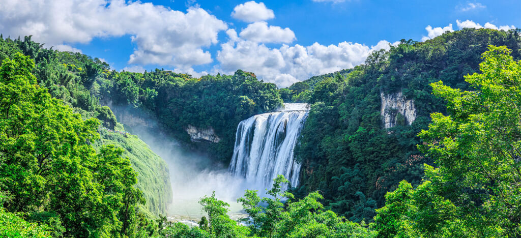 Amplio paisaje verde con una cascada brillante y un árbol estilizado en un símbolo de globo.