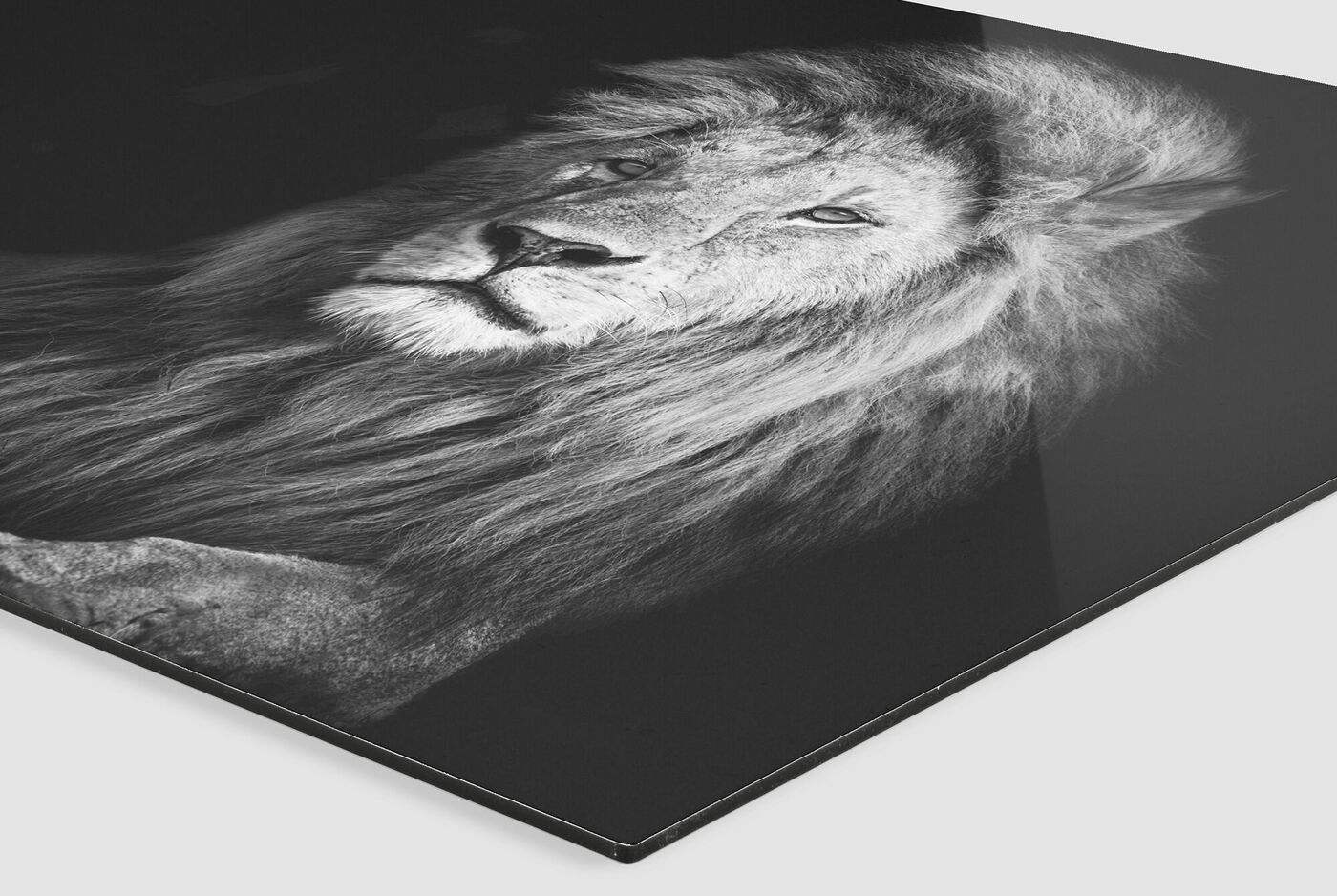 Cuadro con una foto impresa directamente sobre material de aluminio, recomendable para fotos en blanco y negro.