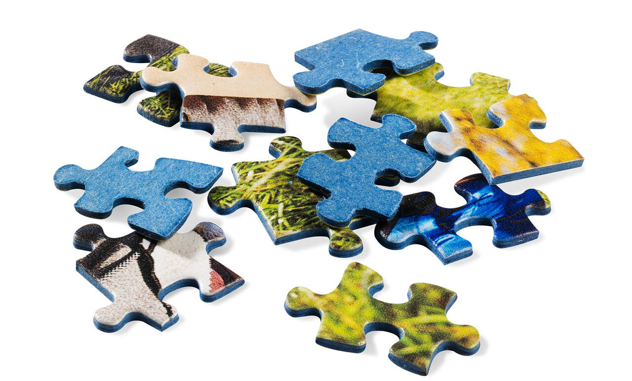 Puzzles personalizados Ravensburger con foto: desde 500 a 2000 piezas | CEWE